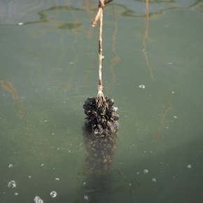 Beyond Plastic Nets / Annalaura Cattelan