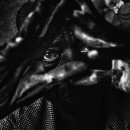 premio B&igrave;Foto 2026 / Luis Casadevall